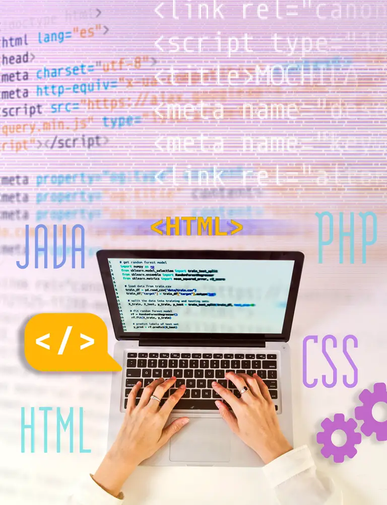 Application Development & Management